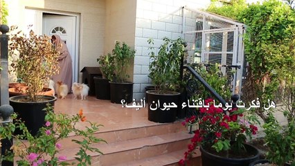 عمانية تحوّل بيتها في مسقط ملجأ لمئات الحيوانات المنزلية