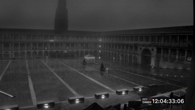 Halifax Piece Hall Big Cat