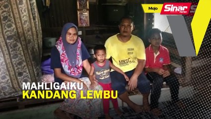 Mahligaiku kandang lembu