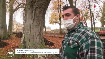 Patrimoine : le château de Chantilly prépare sa réouverture