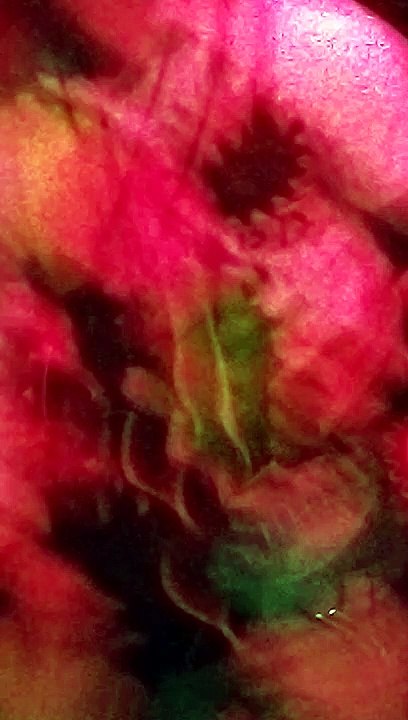 The Adicts Clockwork SOldiers!