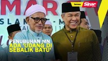 Penubuhan Muafakat Nasional ada 'udang di sebalik batu'