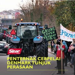 Penternak cerpelai Denmark tunjuk perasaan