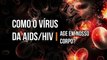 Como o vírus da AIDS/HIV age em nosso corpo?