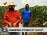 Convenio Turquía-Venezuela impulsa producción de 500ha de arroz en la Agropecuaria Kambuca-Trujillo