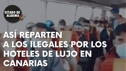 Así reparten a los ILEGALES por los hoteles de LUJO en CANARIAS