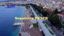 'Ndrangheta, sequestrati beni per 2 milioni ad esponente della cosca Pesce (24.11.20)