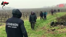 Veneto - Lavoratori marocchini sfruttati nei campi 3 arresti (25.11.20)