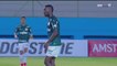 Deflin 1-3 Palmeiras: Own Goal Ramires