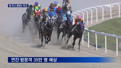 "말 타고 캠핑도 하고"…경북 영천 경마공원 2024년 개장