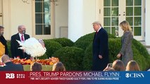 Trump pardons former National Security Adviser Michael Flynn