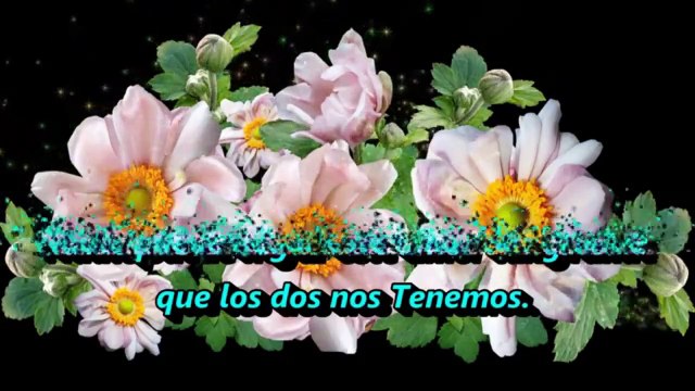 El privilegio de Conocerte Poemas y frases Romanticas de Amor