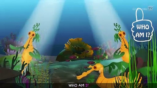 Leafy Sea Dragon Nursery Rhyme - ChuChuTV Sea World - Animal Songs & Nursery Rhymes For Children