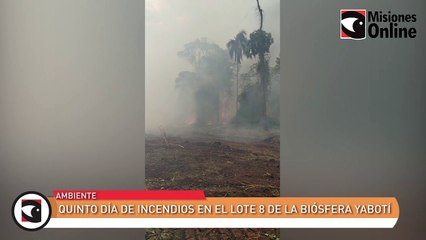 Quinto día de incendios en el lote 8 de la biósfera Yabotí