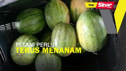 Petani perlu terus menanam