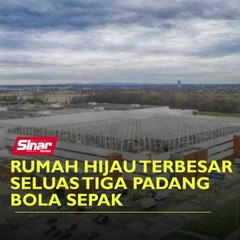 Rumah hijau terbesar seluas tiga padang bola sepak