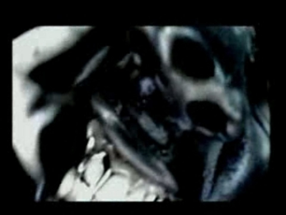 Raggasonic Feat NTM-Aiguise comme une lame