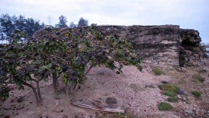 Bunker Jepang Kuno Situs Sejarah
