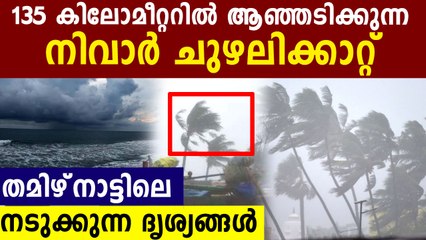 ആടിയുലയുന്ന മരങ്ങൾ..135 km വേഗത്തിൽ ചുഴലിക്കാറ്റ്..നടുക്കും ദൃശ്യങ്ങൾ
