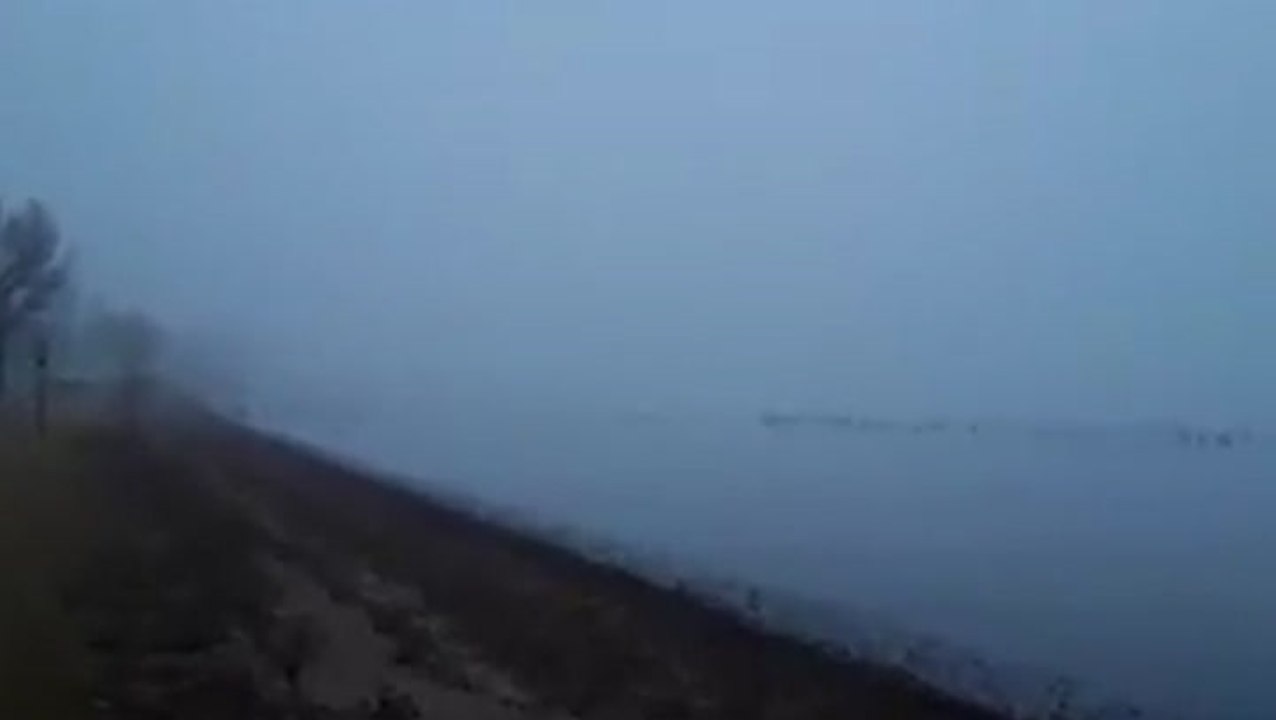 Birds cry foul after visibility drops