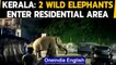 Kerala: 2 wild elephants enter residential area in Munnar town, watch the video | Oneindia News