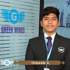 Greek wings institute of hotel management