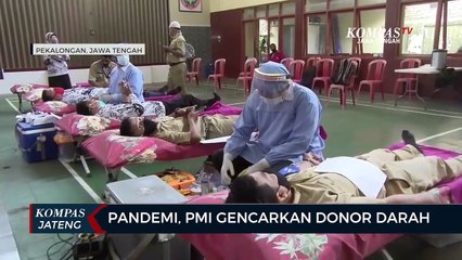 Pandemi, PMI Gencarkan Donor Darah