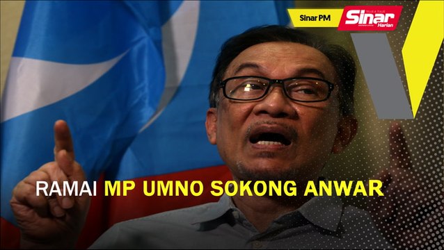 SINAR PM: Ramai MP UMNO sokong Anwar