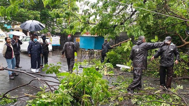 Cyclone Nivar Aftermath: Ground reports from Chennai, Puducherry, other coastal areas of Tamil Nadu