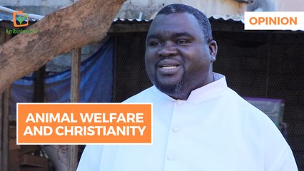 Opinion: Animal welfare and Christianity