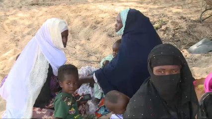 واقع المرأة التشادية في الريف والتحديات التي تواجهها