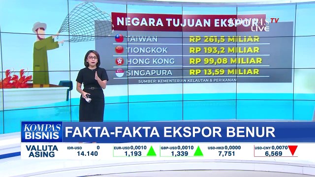 Fakta-Fakta Kebijakan Ekspor Benih Lobster Berujung Penetapan Edhy Prabowo Jadi Tersangka Korupsi