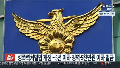 걸그룹 음란사진 합성·판매 30대 징역 4년