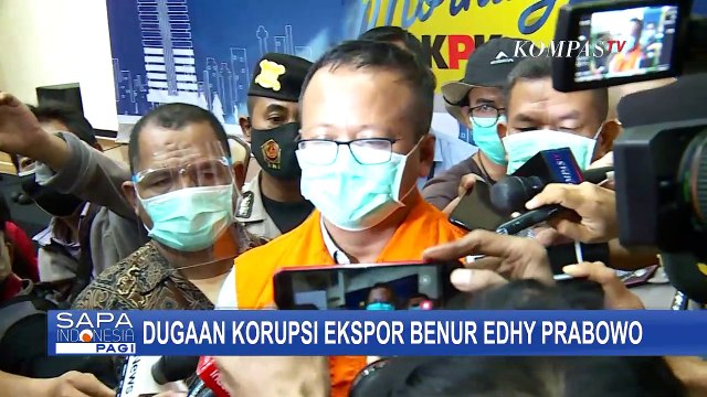 Ini Penjelasan ICW Terkait Kejanggalan dalam Kebijakan Edhy Prabowo Soal Ekspor Benih Lobster