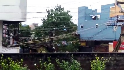 நிவர் கரையை கடந்து விட்டாலும்  திருவண்ணாமலையில் விடாமல் சுழன்று அடிக்கும் புயல் காற்று - வீடியோ