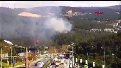İstanbul'da ormanlık alanda yangın