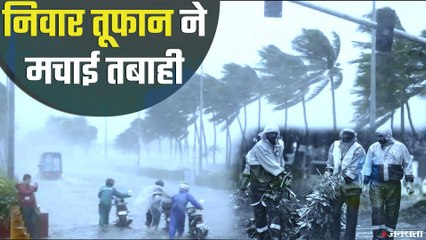 Cyclone Nivar से तमिलनाडु में भारी तबाही, 100 से ज्यादा घर क्षतिग्रस्त, 380 पेड़ उखड़े