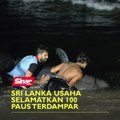 Sri Lanka usaha selamatkan 100 paus terdampar