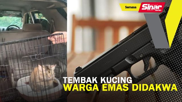 Tembak kucing, warga emas didakwa