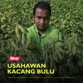 Usahawan kacang bulu