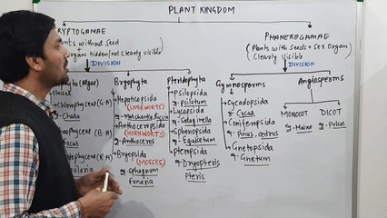 Classification-Plant kingdom(Cryptogamae & Phanerogamae)