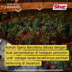 Whatsapp Video 2020-06-24 At 5.37.12 Pm