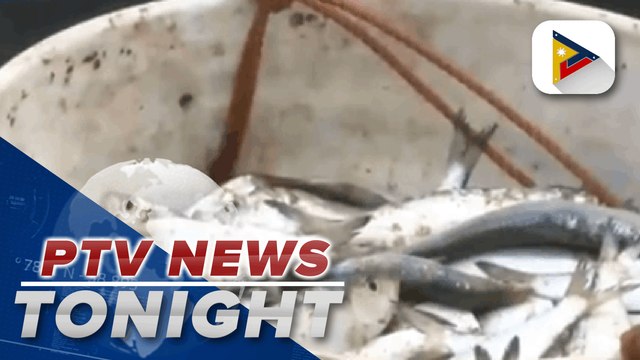 DA assures stable supply of fish amid typhoons