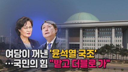 [나이트포커스] 여당이 꺼낸 '윤석열 국조'...국민의힘 "받고 더블로 가" / YTN