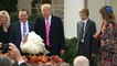 President Trump pardons Thanksgiving turkeys across his presidency
