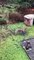 Bucks Tear up Backyard During Scuffle
