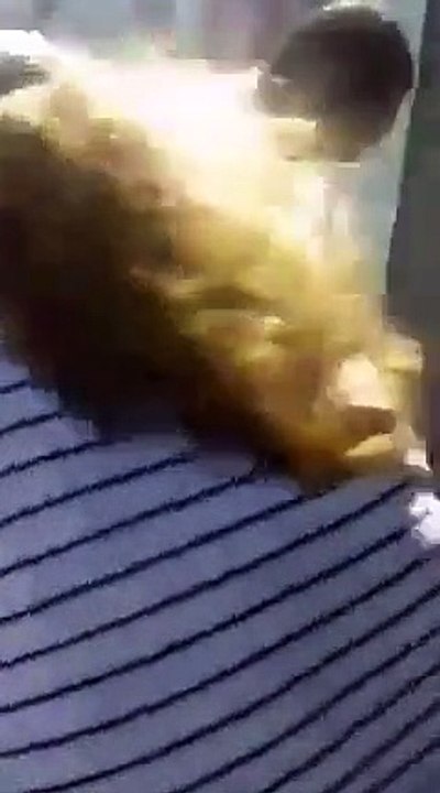 Matan policías de Celaya a vendedor de tamales durante detención