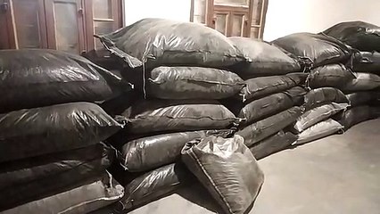 एसयूवी के चोरी की होने का अंदेशा, दो जिंदा कारतूस जब्त