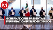 Alianza Federalista presenta controversia ante SCJN contra extinción de fideicomisos