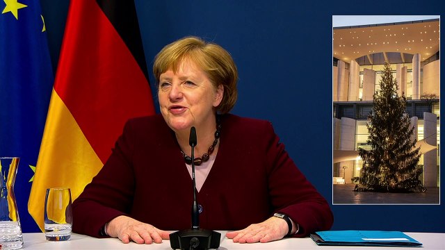 Merkel sucht den Weihnachtsbaum
